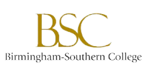 BSC-01-300x157